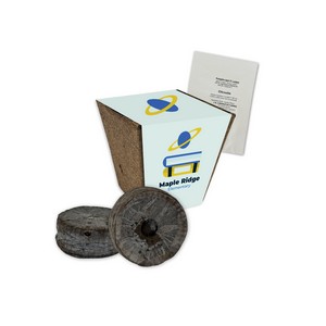 [SD1112] Jumbo Planting Kits with Paper Wrap - Pumpkin