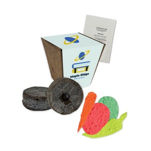 [SD1114] Jumbo Planting Kits with Paper Wrap - Vegetables/Herbs