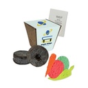 Jumbo Planting Kits with Paper Wrap - Vegetables/Herbs