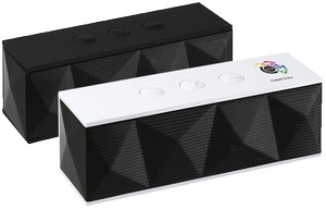 [EL73] RoxBox Duet Bluetooth Speaker