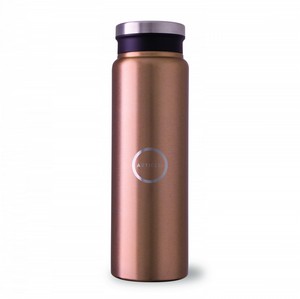 [DW305] Trend Setter Metallic 600 Ml / 20 Oz Stainless Steel Bottle