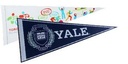 Silkscreened Felt Pennant