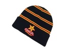 Beanie with Embroidered Logo & Fold