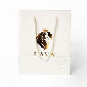 [BGC1S1013-210F] 210g C1S paper bag with foil imprint on all sides (10*13*5")