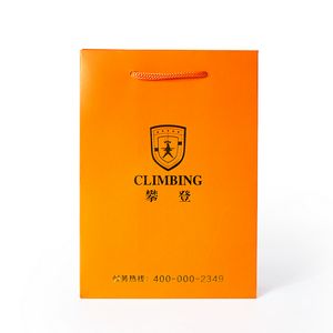 [BGC1S810-210F] 210g C1S paper bag with foil imprint on all sides (8.25*10.5*4")