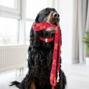 Digitally Sublimated Pet Leash