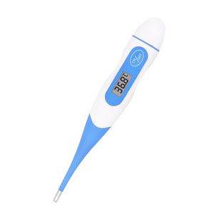 Oral Digital Thermometer