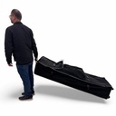 Case (Bag) w/Wheels, Carry Handle To Transport 20'x10' or 15'x10' Tent And Canopy