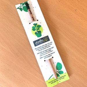 [SPW4893] Sprout Pencil With Single-Sided Basil Seed Paper