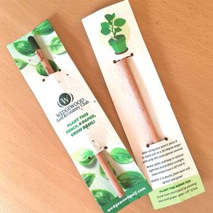 [SPW4894] Sprout Pencil With Double-Sided Basil Seed Paper