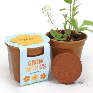 [FPS4540] Flower Power Seed Paper Sprouter Kits