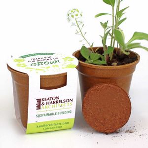 [WSP4539] Wildflower Seed Paper Sprouter Kits