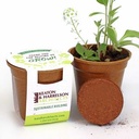 Wildflower Seed Paper Sprouter Kits