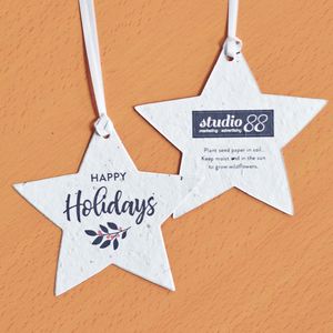Classic Twig Plantable Star Ornaments