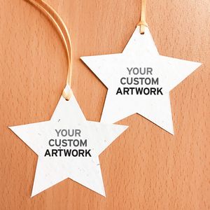 [DSH4090] Double-Sided Holiday Star Seed Paper Ornaments