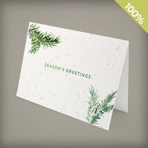 [EBB4952] Evergreen Greetings Business Holiday Cards