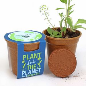 [PFT4570] Plant for the Planet Seed Paper Sprouter Kits