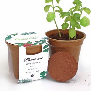 [SGH4763] Season's Greenings Herb Seed Paper Sprouter Kits