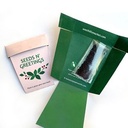 Seeds n' Greetings Basil Plant Pot Seed Packets