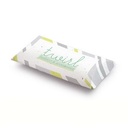 Single-Sided Seed Paper Pillow Boxes
