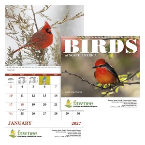 [7036] Good Value™ Birds of North America - Spiral Calendar