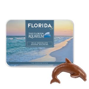 [325-FLA-K] Gift Tin with Dolphin Shaped Chocolates