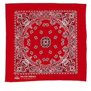 [BA22P] Garyline® 22" Bandana with Stock Paisley Pattern