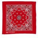 Garyline® 22" Bandana with Stock Paisley Pattern