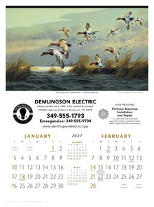 [3203-01] Triumph® Calendars North American Waterfowl Calendar (2027)