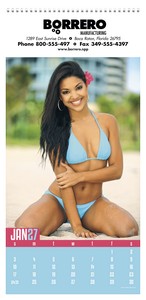Triumph® Calendars Swimsuits Calendar