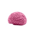 Pencil-Top Eraser Brain