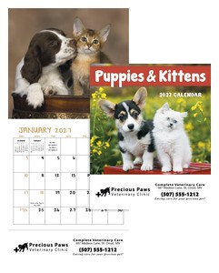 Good Value™ Puppies & Kittens - Mini Calendar