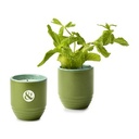 Modern Sprout® Garden Vibes Candle/Planter - In The Weeds-Mint