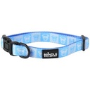 Dog Collar With Neoprene Backing: Medium