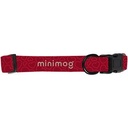 Dog Collar: Extra Small