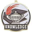Stock Gold Enamel Sports Medals - Book & Lamp