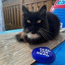 Three Step Lid™