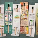 Sprout Pencil - Daisy