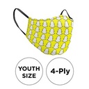 Mask - 3D (No Piping) 4 Ply Full Color Polyester Fixed Ear Youth
