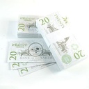 $20 Seed Paper Bills