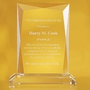 Rectangular Gem Edged Award