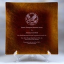 Jade Glass Leaf Square Plate