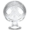 MARIO CIONI Trend Trophy