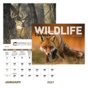 Good Value™ Wildlife Portraits - Window Calendar
